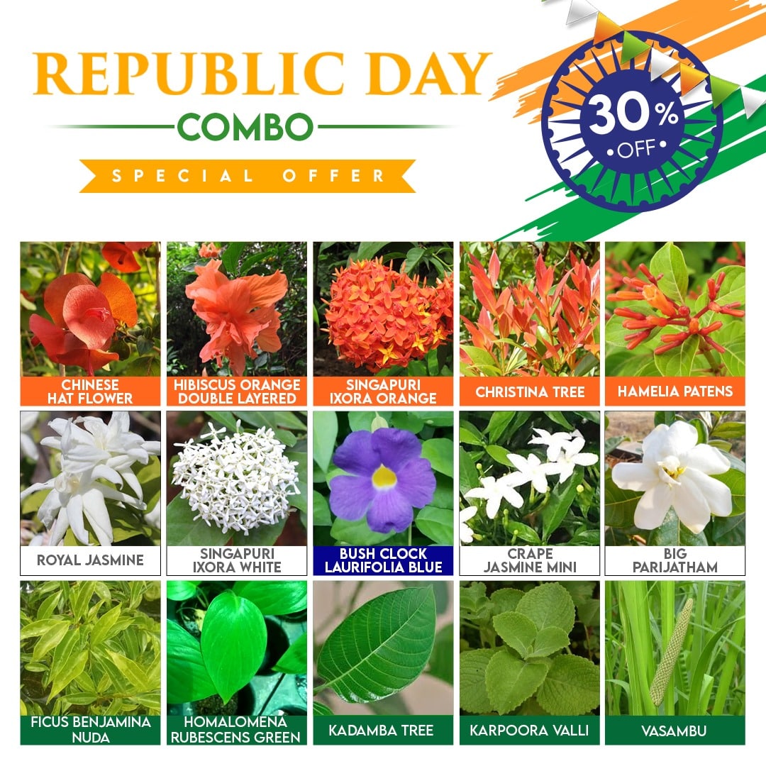 Republic Day Combo