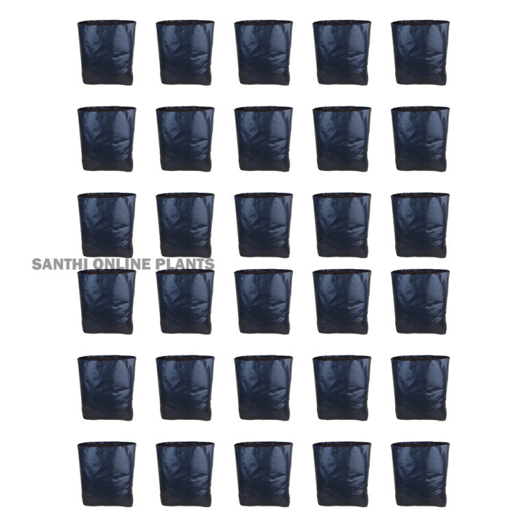 Black Cover 12*18 (Pieces: 30)