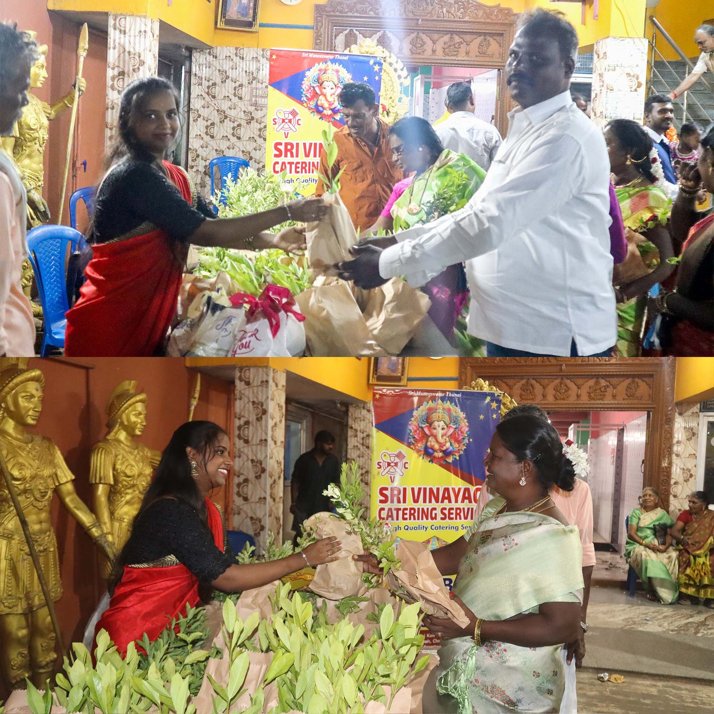 Garden Fresh Beauty Allamanda flower plant for return gifts