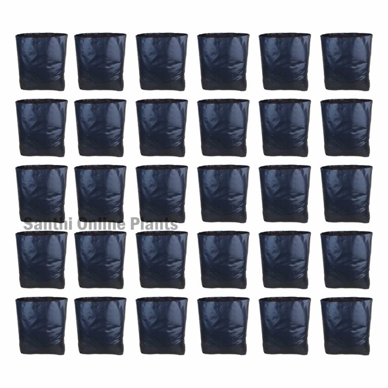 Black Cover 12*18 (Pieces: 50)