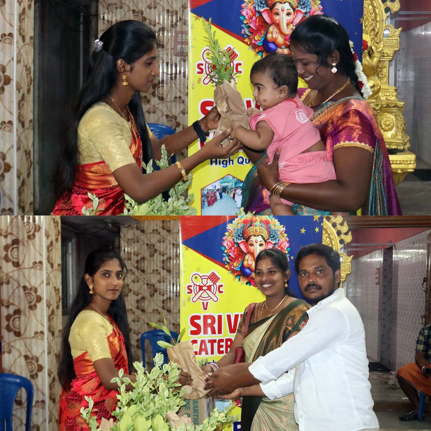 A strong fragrance gardenia jasminoides plants for gifting purpose