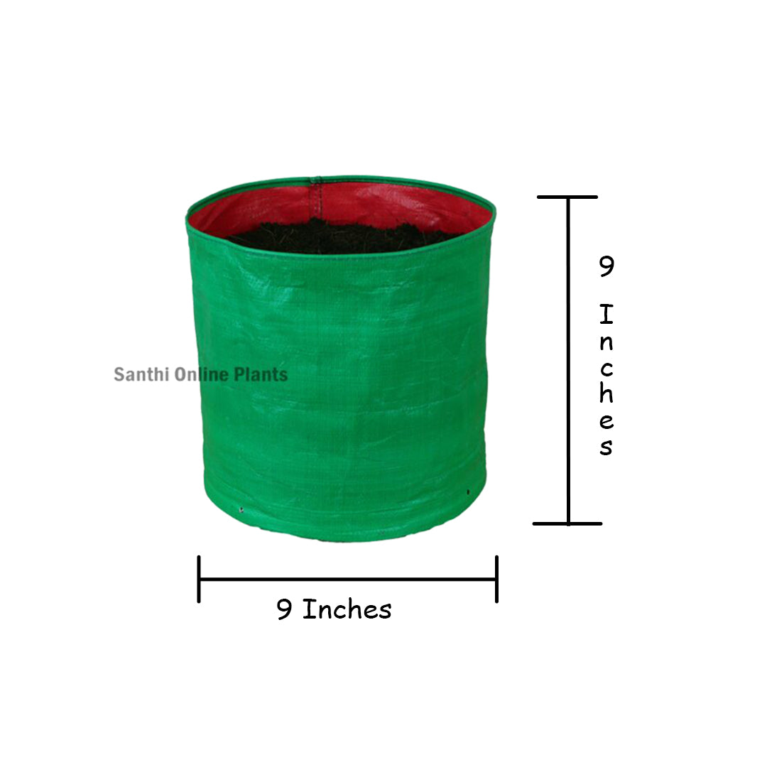 Green Grow Bag 9*9 (5 Pcs)