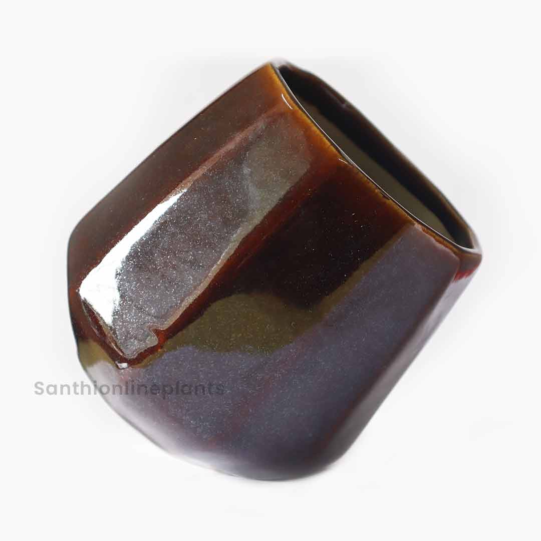 Cone Ceramic Brown(Medium)