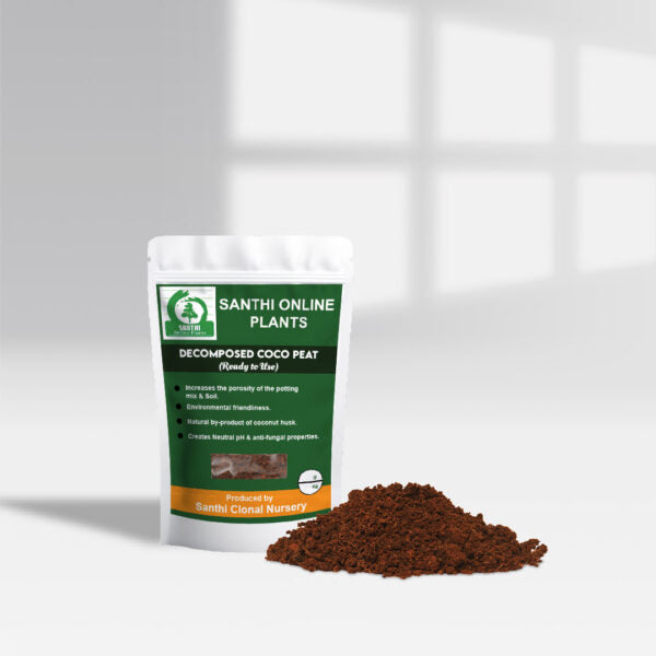 Sterilized Decomposed Cocopeat as Growth Medium