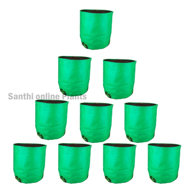 Green Grow bag 18*18 (10 pcs)