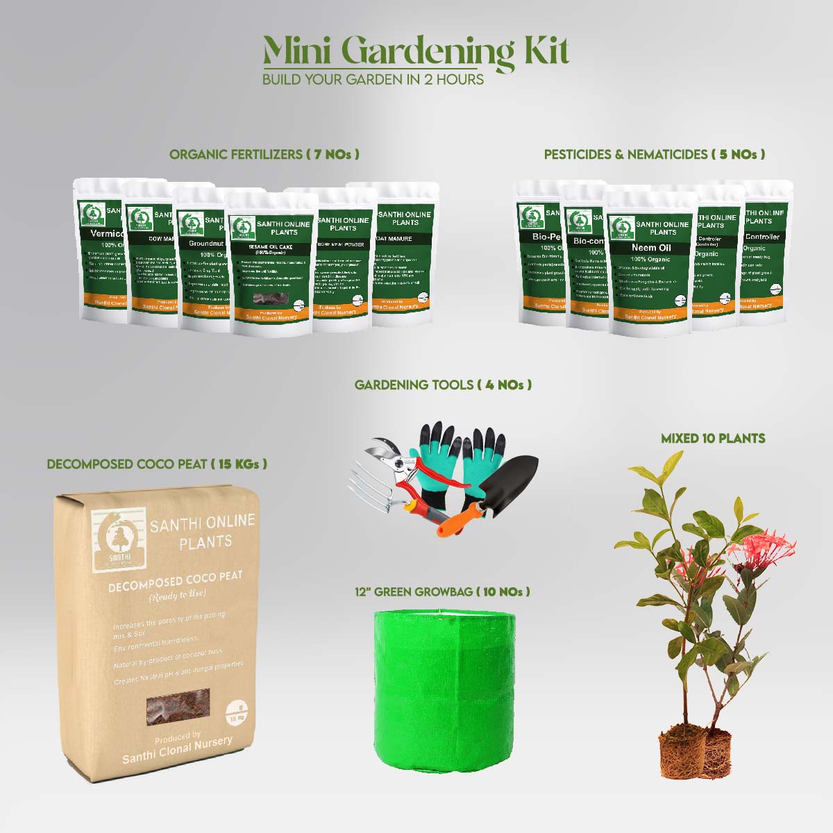 Mini Gardening Kit1 : ” A Beauty little patch of green Kit”