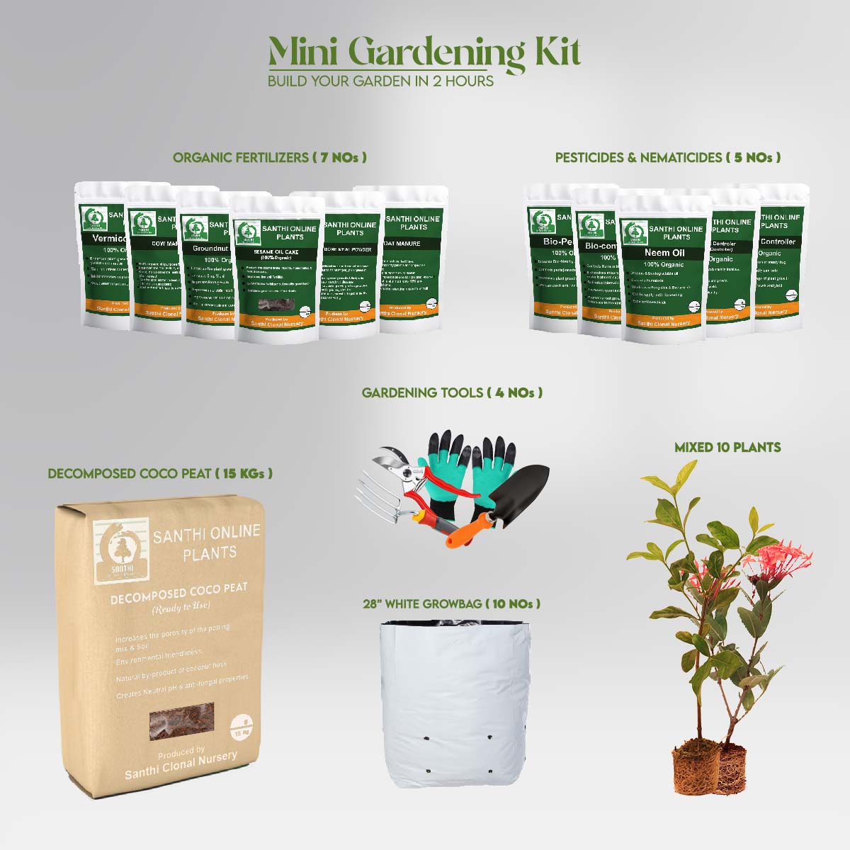 Mini Gardening Kit3 : “Nature’s Little Starter & Make a beauty”