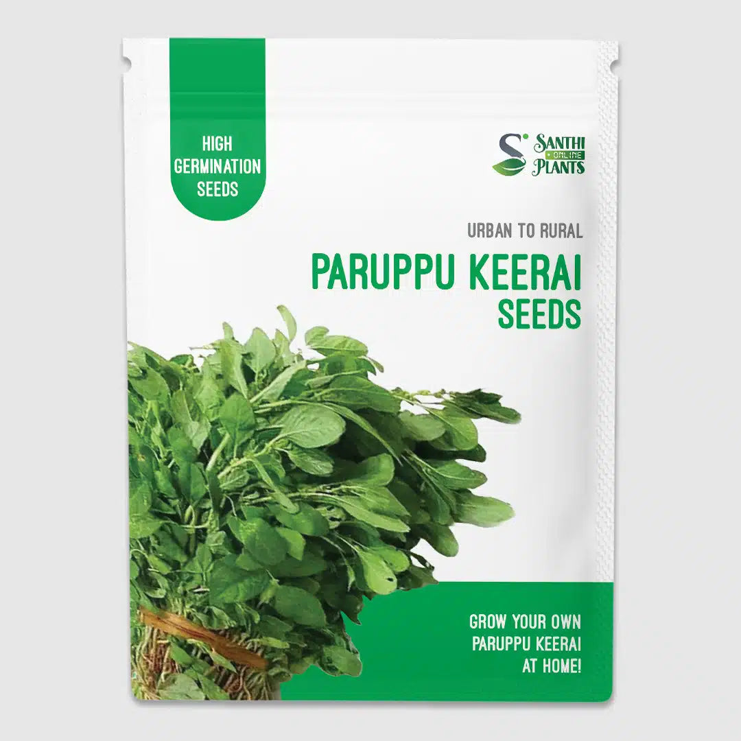 Paruppu Keerai Seeds