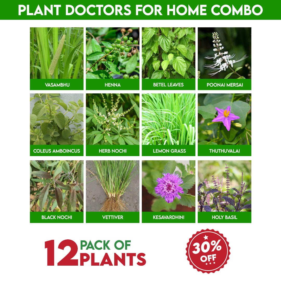 Plant Doctor’s for Home Combo