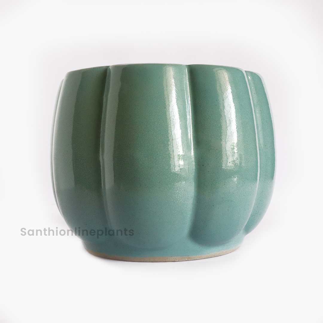 Pumpkin Ceramic Sky Blue(Medium)