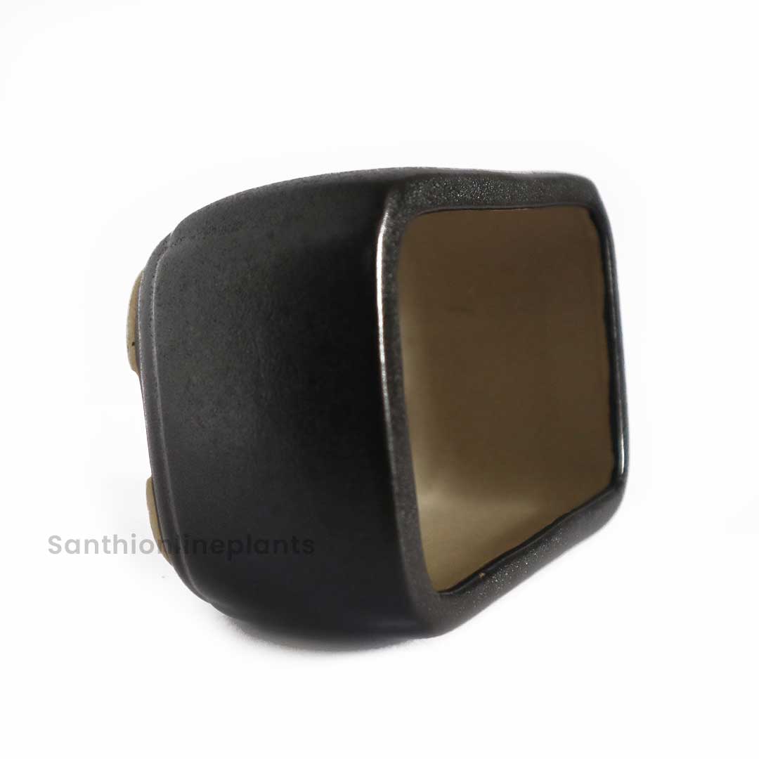 Rectangular Bonsai Black Pot