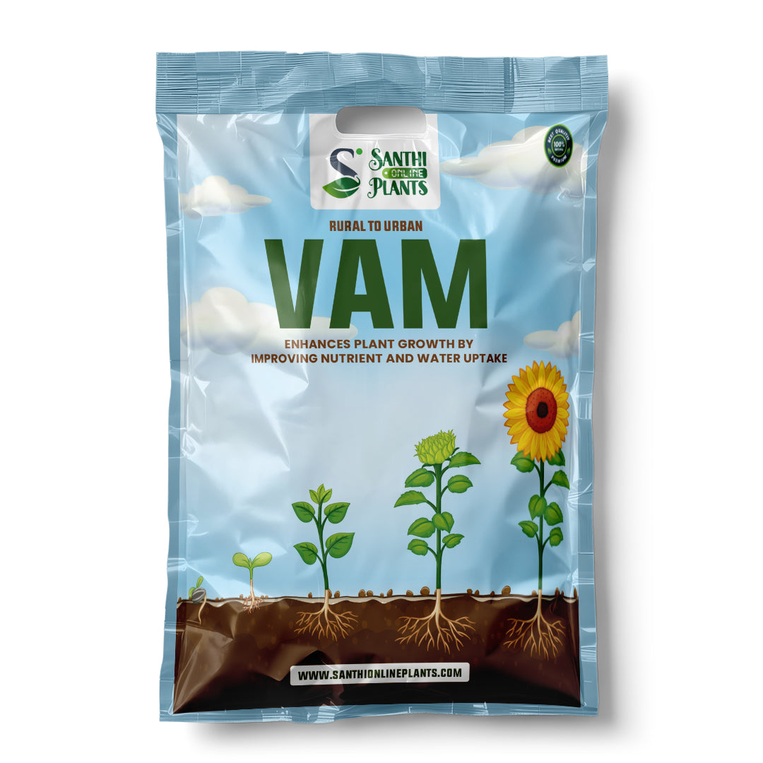 Excellent Vam biofertilizer -Vesicular Arbuscular Mycorrhizal (VAM)