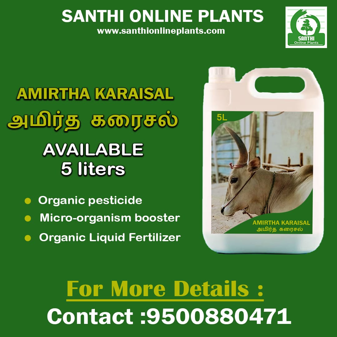 Best Liquid fertilizer for plants – Amirthakaraisal
