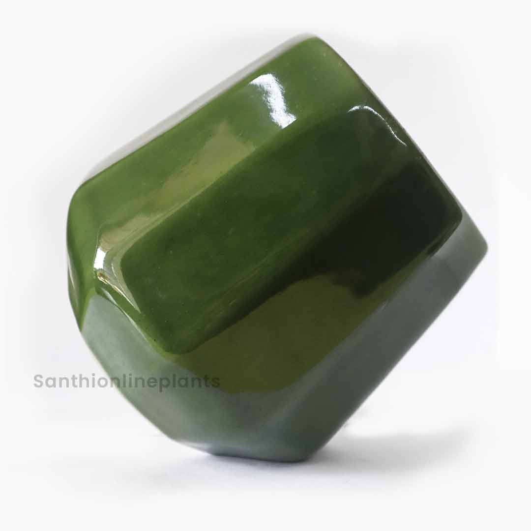 Cone Ceramic Green(Medium)