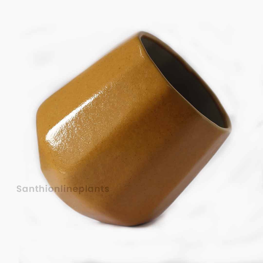 Cone Ceramic Yellow(Medium)
