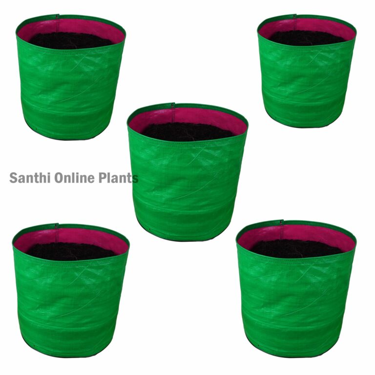 Green Grow bag 12 * 12 (10 pcs)