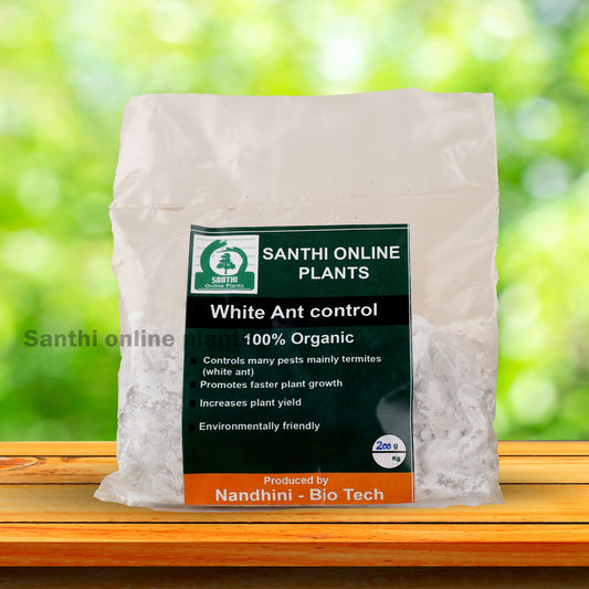 Excellent Termite Pest Control – White Ant Controller