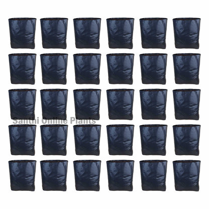 Black Cover 12*18 (Pieces: 30)
