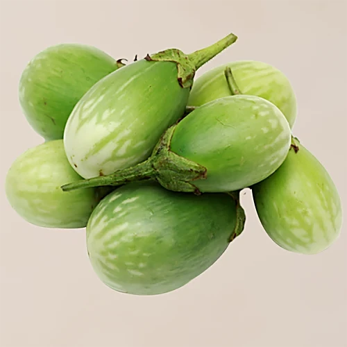 Green brinjal seeds