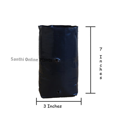 Black Cover 3*7 (Pieces: 30)