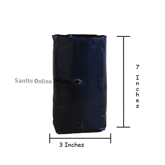 Black Cover 3*7 (Pieces: 30)