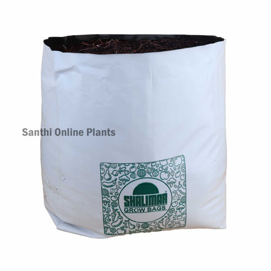 White Grow bag 24*24*40 (20 Pcs)