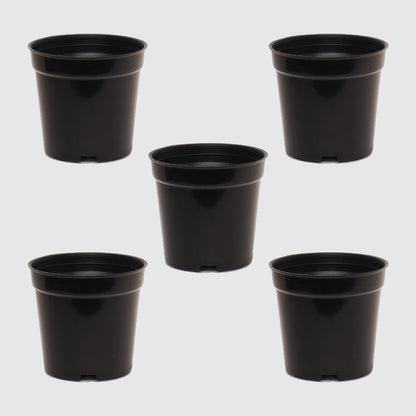 4″ POT BLACK(Pieces: 5)