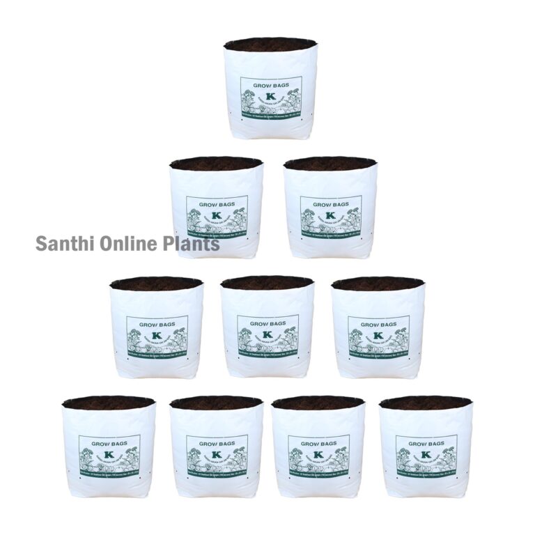 White Grow bag 28 * 28 (10 pcs)