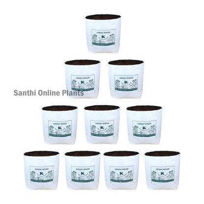 White Grow bag 28 * 28 (10 pcs)
