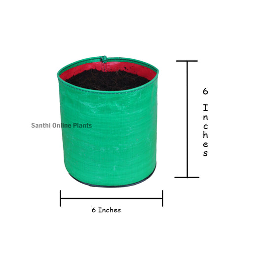 Green Grow bag 6*6 (10 Pcs)