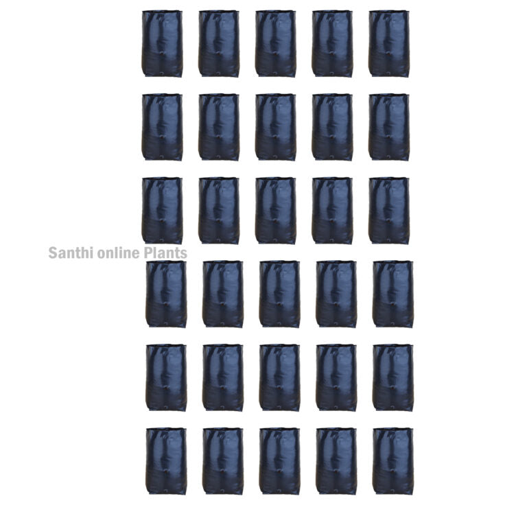 Black Cover 5*10 (Pieces: 30)