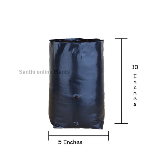 Black Cover 5*10 (Pieces: 50)