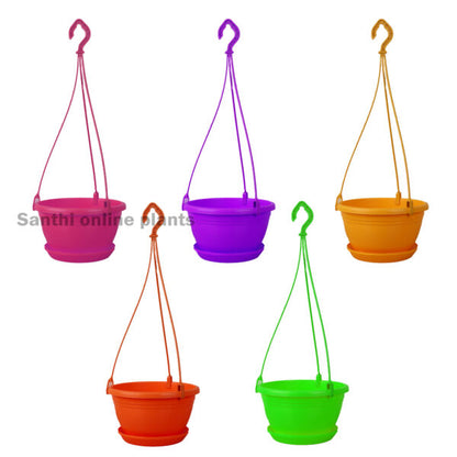 8″ Hanging with Plate Any Colors (Pieces: 5)
