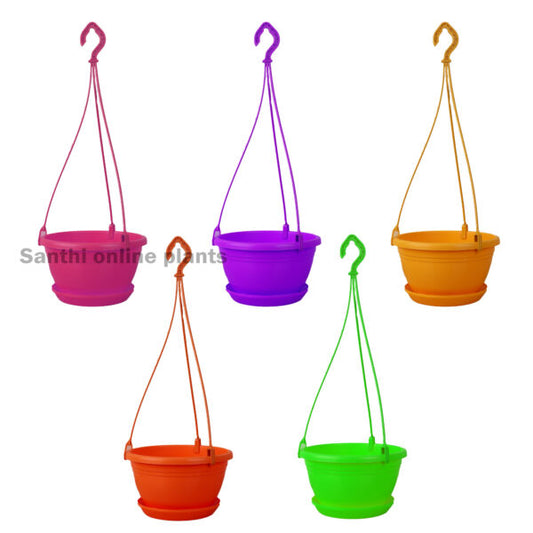8″ Hanging with Plate Any Colors (Pieces: 5)