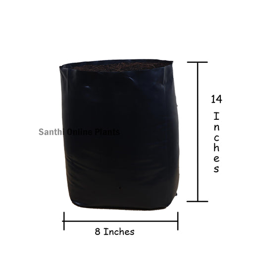 Black Cover 8*14 (Pieces: 50)