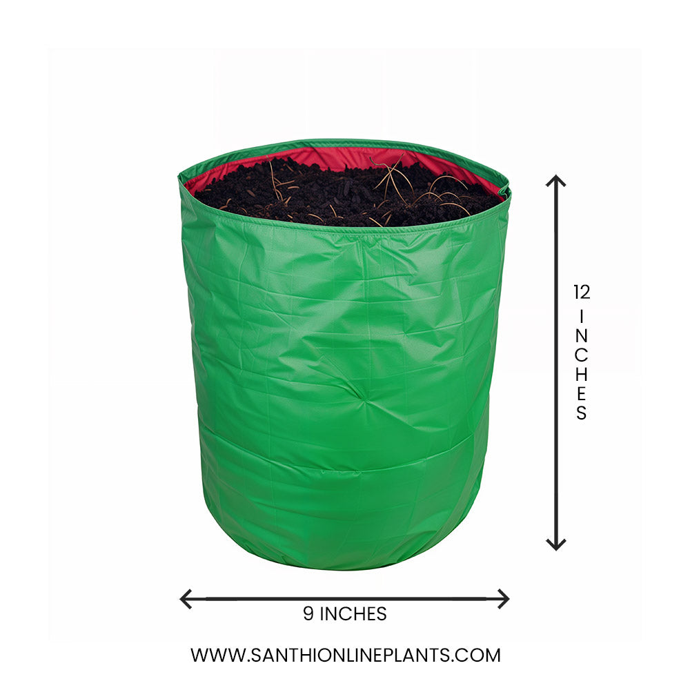 Green Grow bag 9*12 (5 Pcs)
