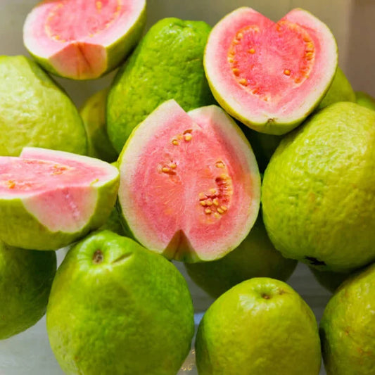 Excellent Arka Kiran Guava (Pink Koiyya Plant)