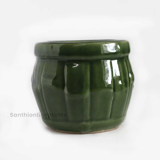 Bamboo Green Ceramic Pot (Small)