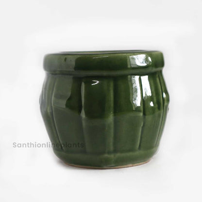 Bamboo Green Ceramic Pot (Small)
