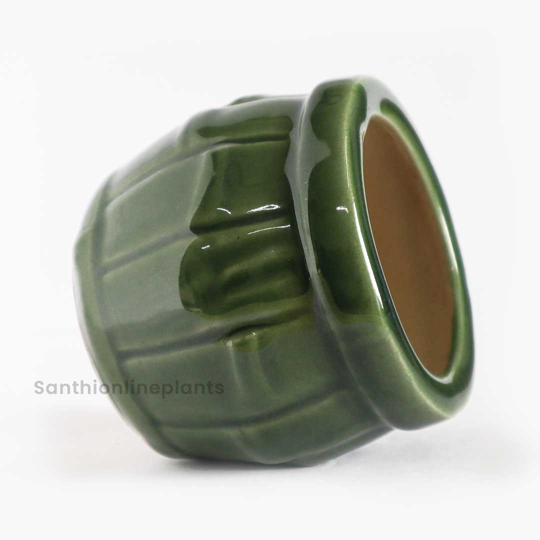 Bamboo Green Ceramic Pot (Small)