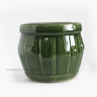 Bamboo Green Ceramic Pot (Small)