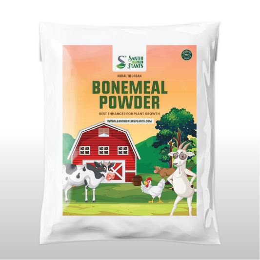 Best Steamed Bone Meal Powder