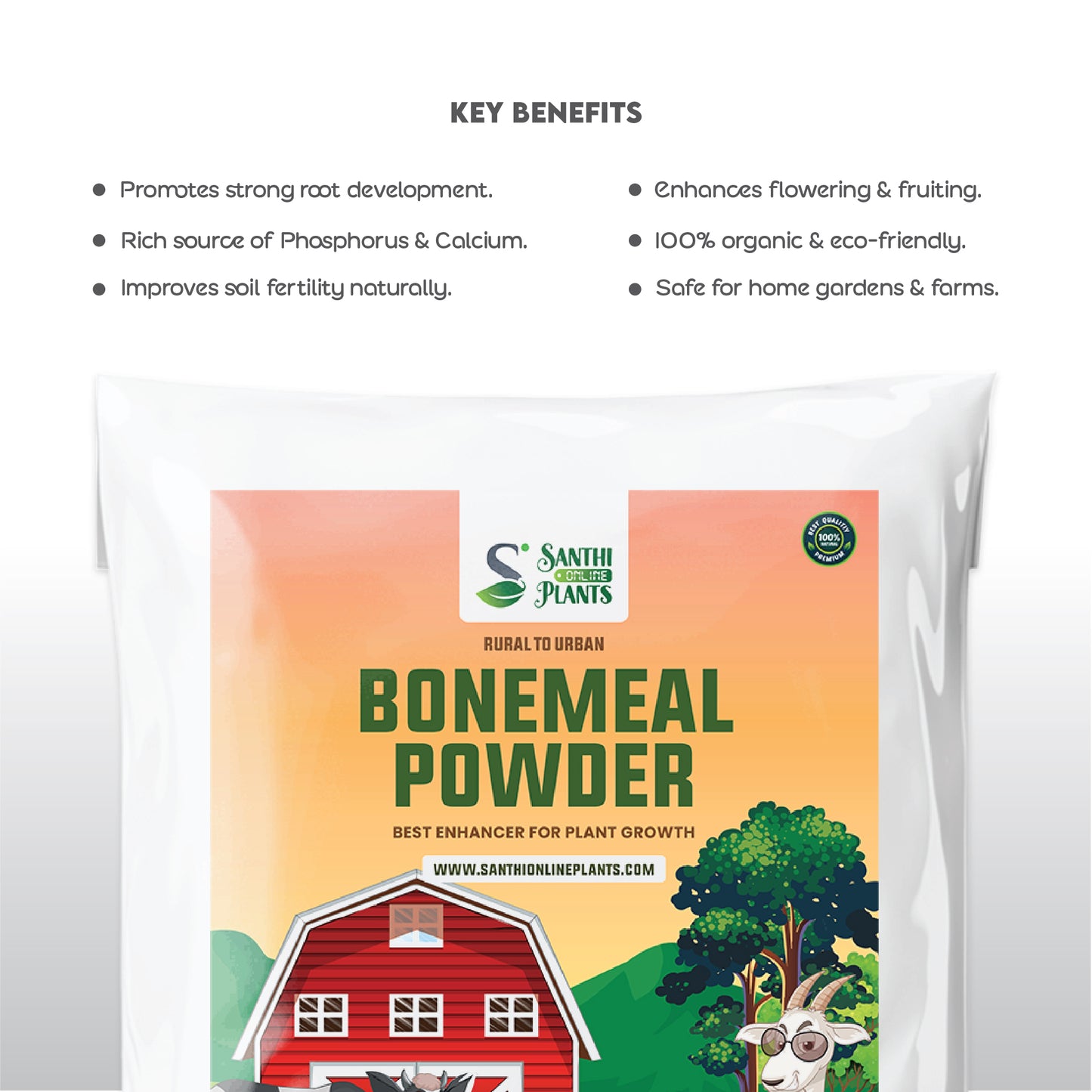Best Steamed Bone Meal Powder