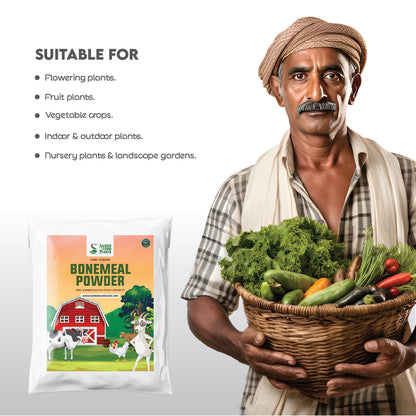 Best Steamed Bone Meal Powder