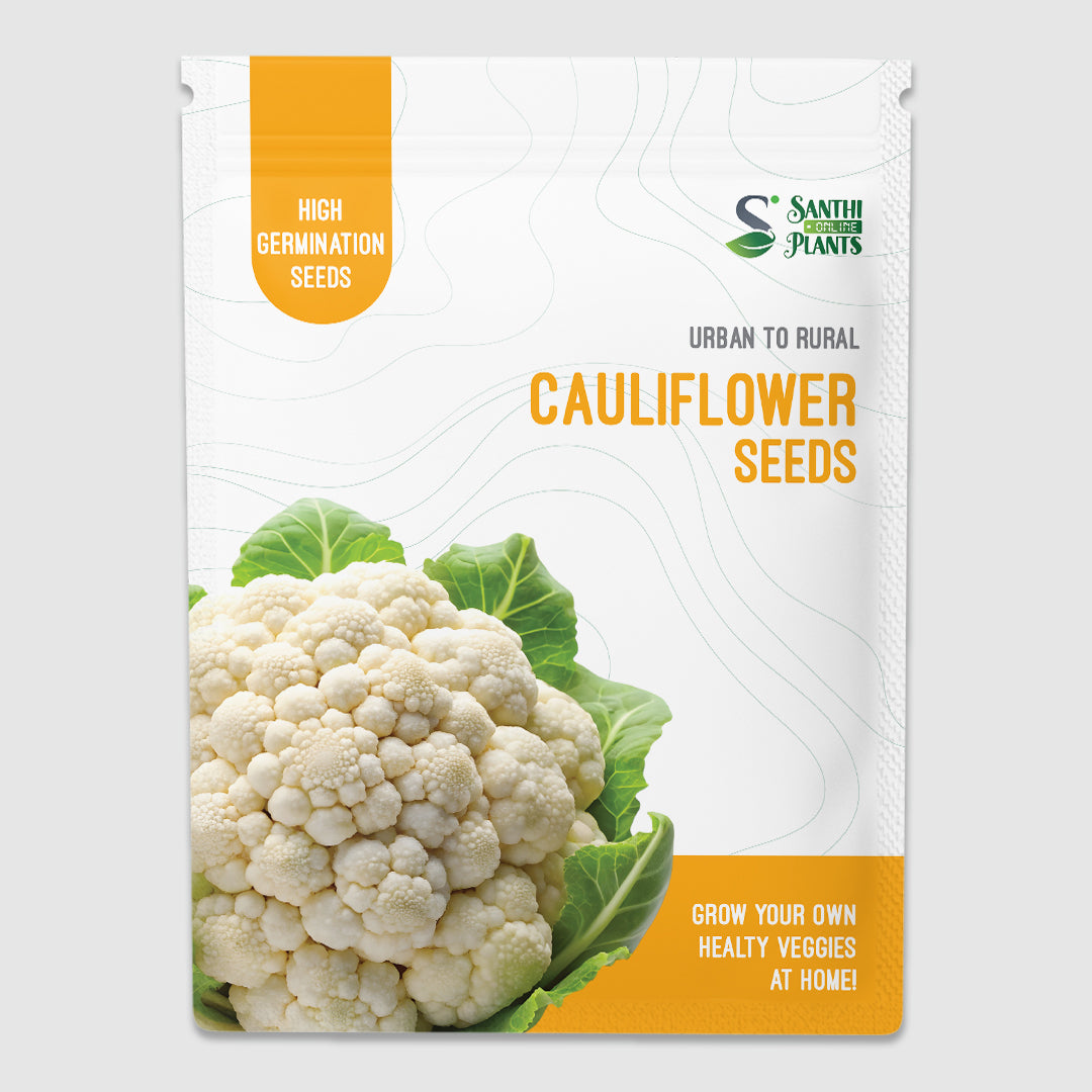 Cauliflower seeds