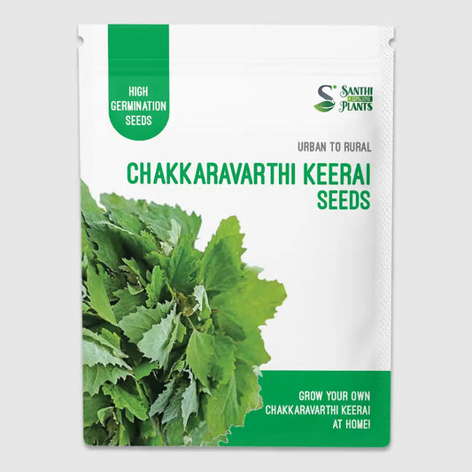 Chakkaravarthi keerai seeds