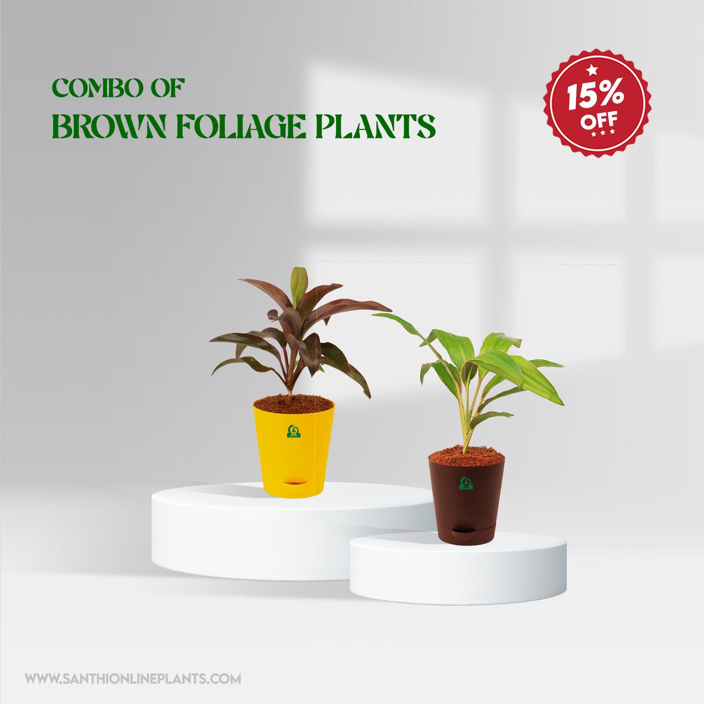 Combo of brown foliage plants