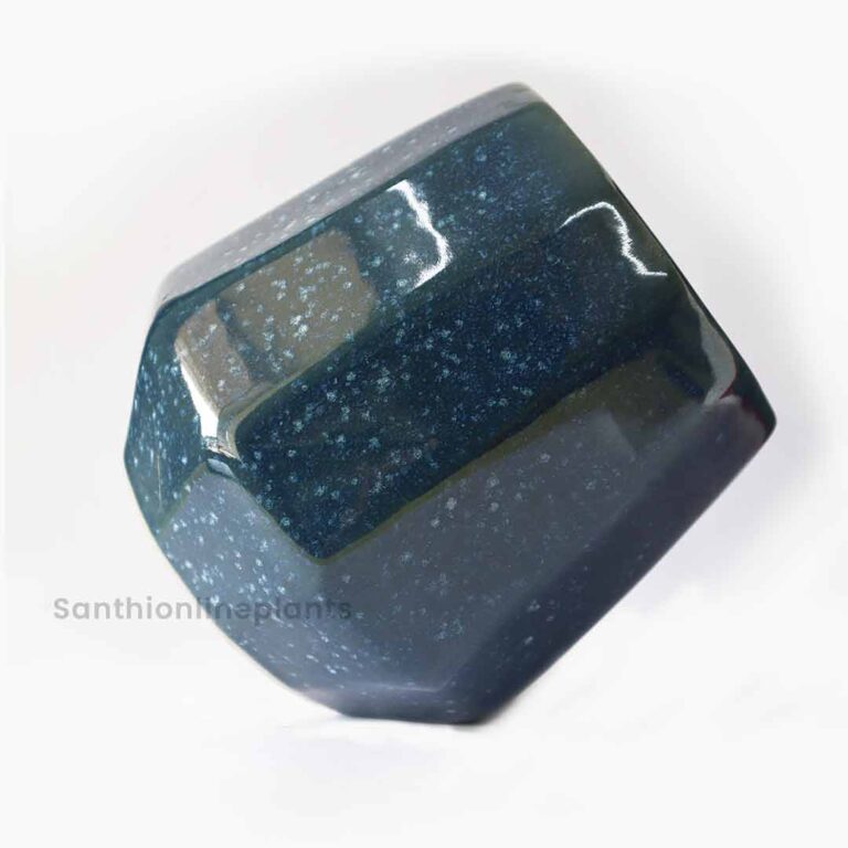 Cone Ceramic Blue(Medium)