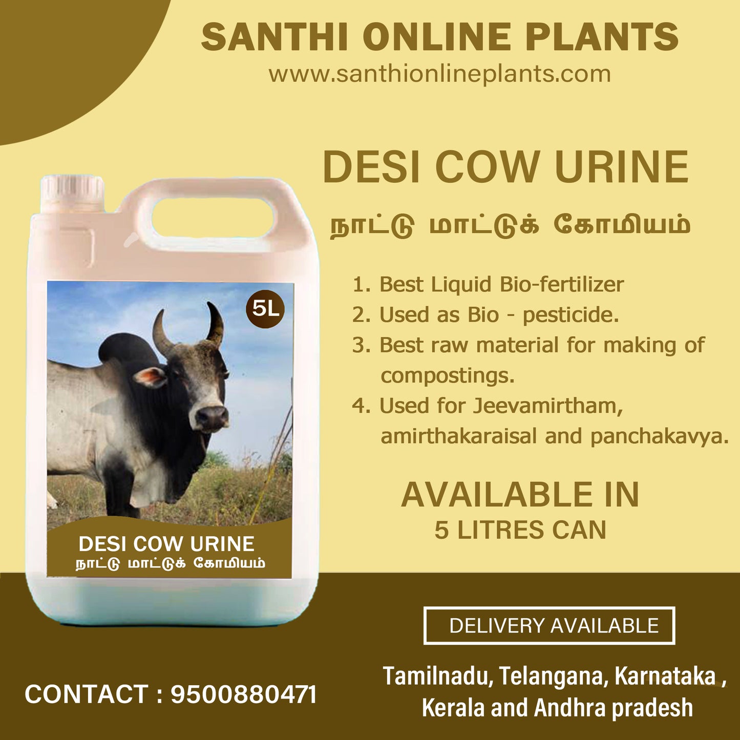 Excellent Desi cow urine (Komiyam)