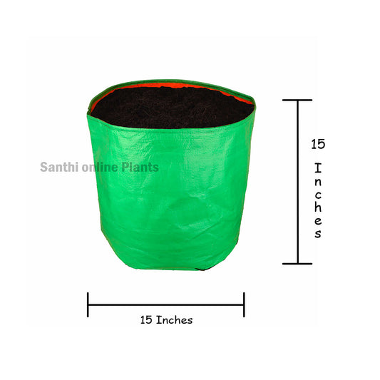 Green Grow bag 15*15(10 Pcs)